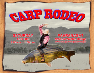 Come to the Carp Rodeo at the Pahranagat National Wildlife Refuge