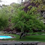 Kershaw-Ryan-Pool (1)