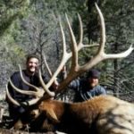 bull-elk-7l-300x169