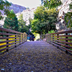 KR-Gardens-bridge-4-1000w