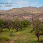 Photo By Michael Prince