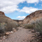 Kershaw Ryan State Park