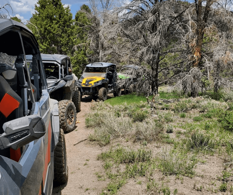 ohv riding lincoln county nevada
