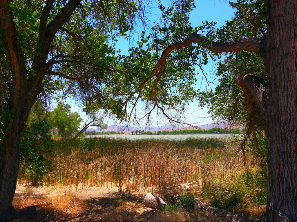 Pahranagat-Lake-Spring_20200627_121814-2000w