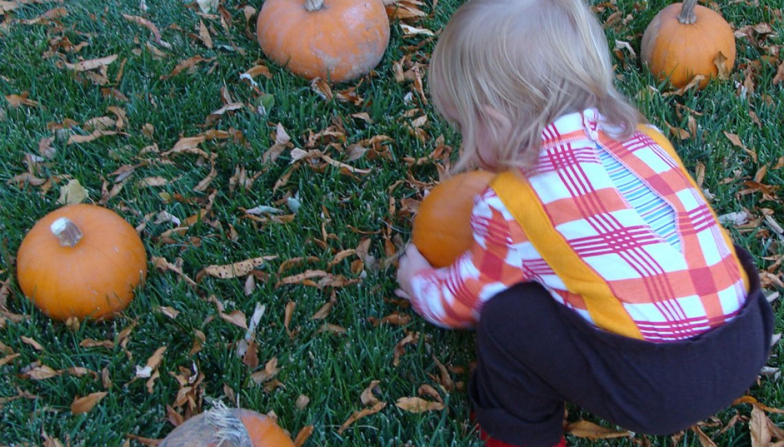 picking a pumpkin res200